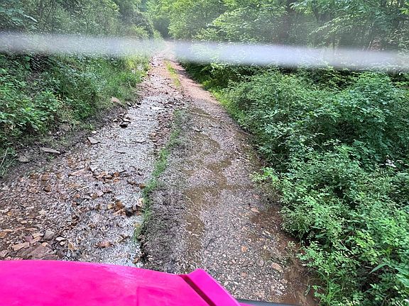 2nd image of 88 acres Bolden Branch