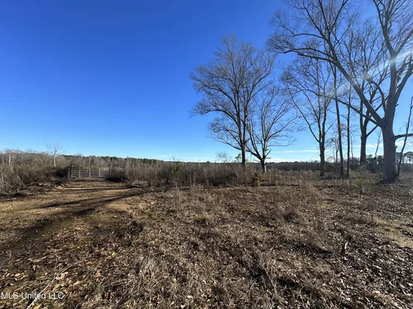 E Scrd 135 Country Rd, Morton, MS 39117