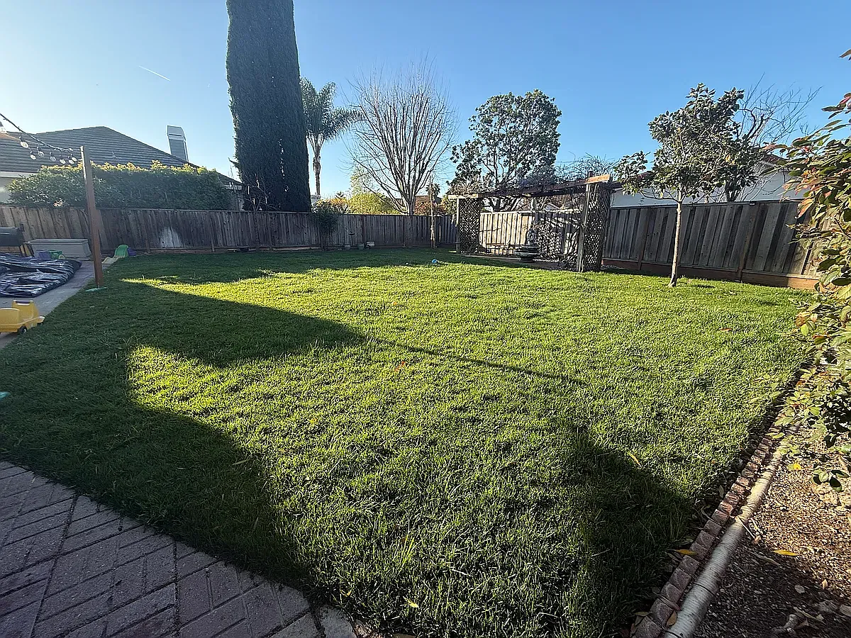 4 bed, 2368 sqft, $6,995 — Photo 4
