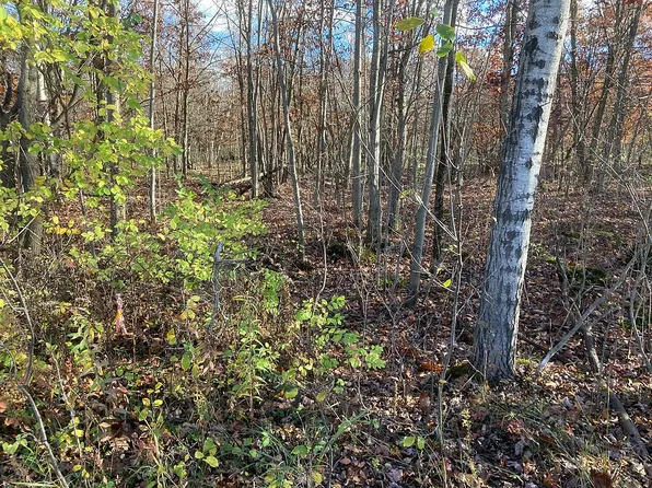 295 County Route 4, Ogdensburg, NY 13669