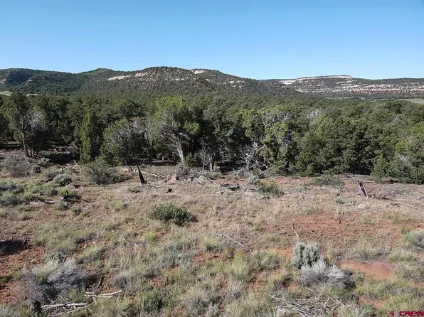 TBD TBD, Glade Park, CO 81523