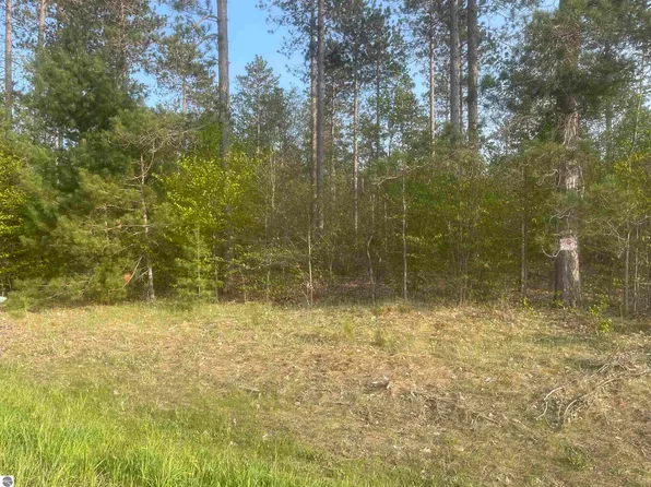 LOT H Riley Rd, Interlochen, MI 49643