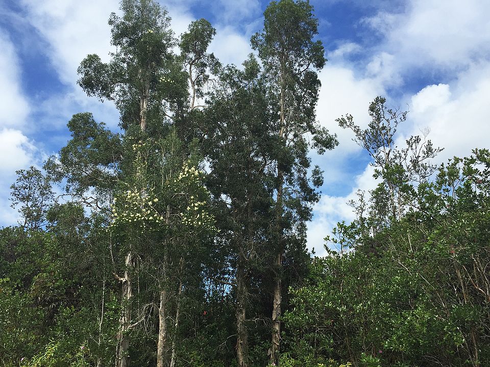 1st image of Lot 58 39th Ave