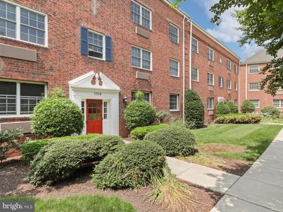 1704 W Abingdon Dr APT 302, Alexandria, VA, 22314