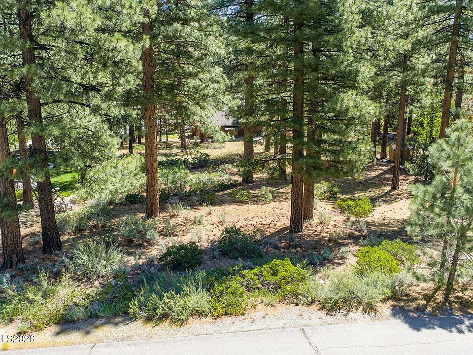 1st image of 255 Mugo Pine Cir #34