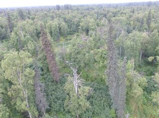 23712 S Wolverine Trl, Trapper Creek, AK 99683