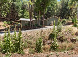 14500 Pioneer Volcano Rd, Pioneer, CA 95666