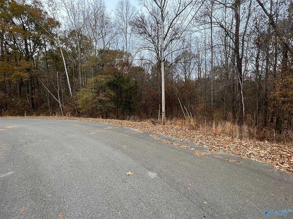 2nd image of 116 Comfort Dr