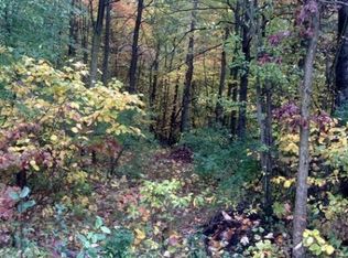 N Backus Rd, Lakeview, MI 48850