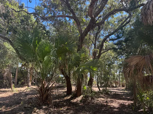 211 Lilly St, Edisto Island, SC 29438