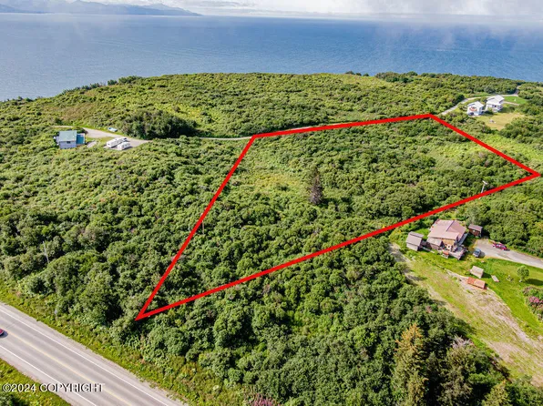 L11 Bluff Rd, Homer, AK 99603
