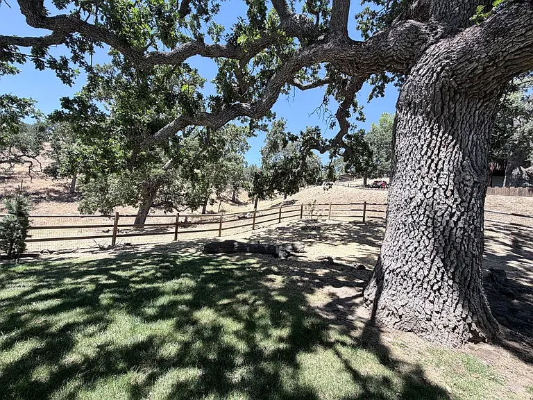 29861 Greenwater Dr — Photo 39