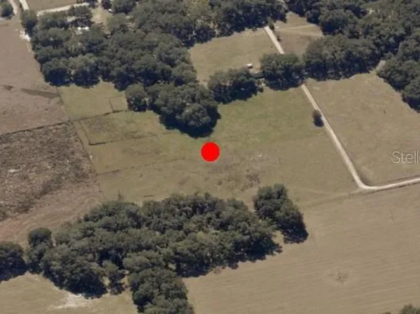 SE 12th Dr, Webster, FL 33597