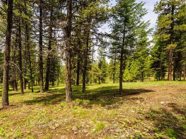 20 To Be Determined, McCall, ID 83638