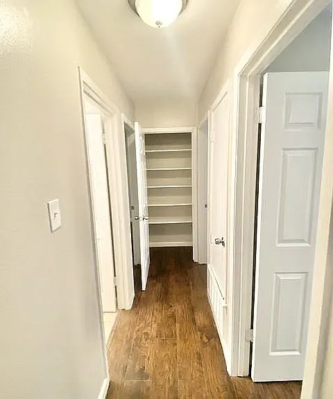 11227 Spring Mint Dr — Photo 24