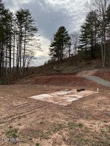 223 Cressview Rd, Mountain City, TN, 37683