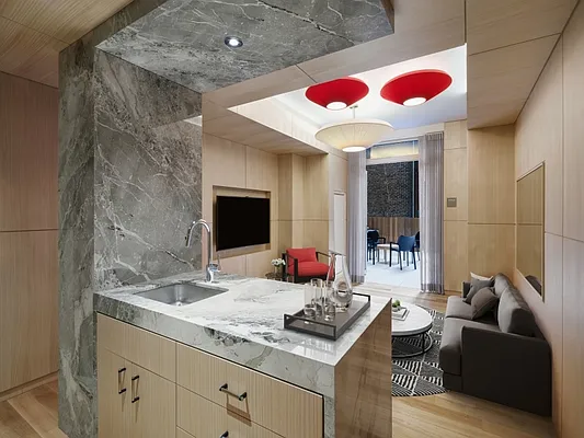 Rented by Skyline Developers | media 8