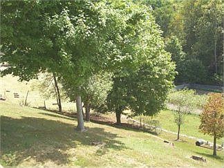 2nd image of 3519 Trace Fork Rd