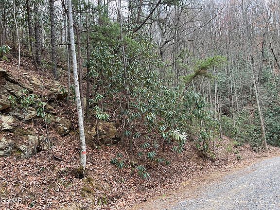 4th image of LOT 10 John Sevier Dr