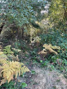 2 Woodland Drive, Port Townsend, WA, 98368
