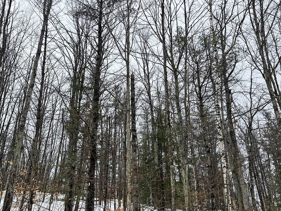 1st image of LOT 70 Birch Ln