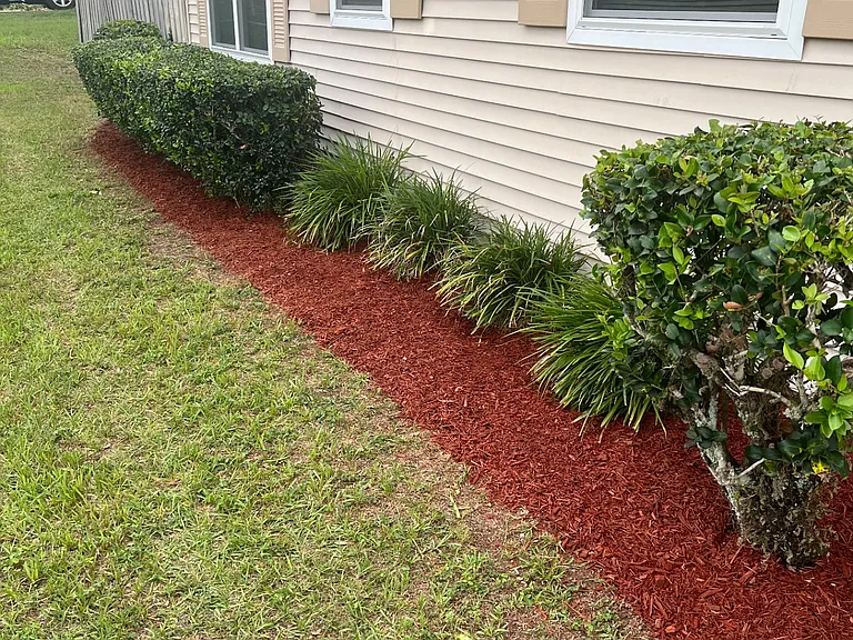 Front yard mulch bed