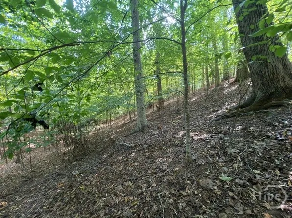 Lot 1643 Cranberry Lane, Westminster, SC 29693