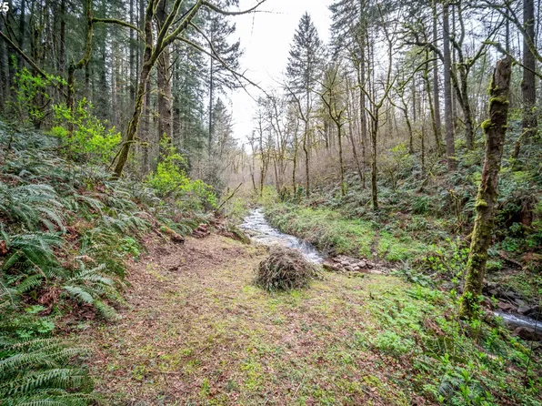 0 NE 181st Ave, Yacolt, WA 98675