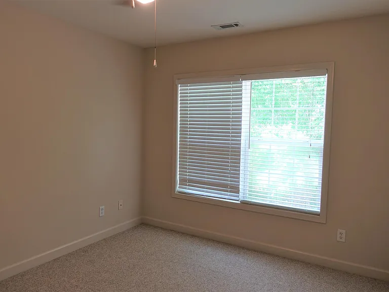113 Bankside Ln — Photo 20