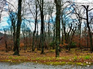 220 Paddock Ln, Sugar Mountain, NC 28604