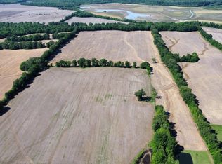 0 Biffle Rd, Newbern, TN 38059