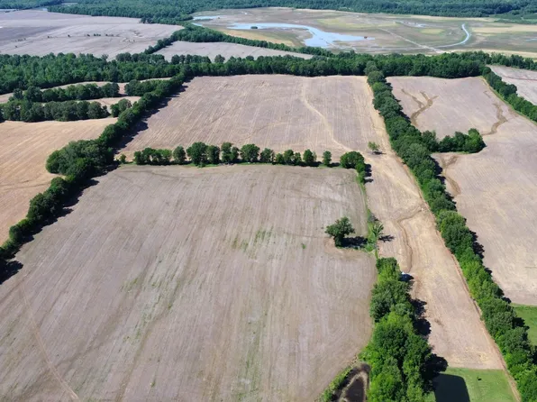 0 Biffle Rd, Newbern, TN 38059