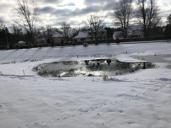 View from the house's back window.