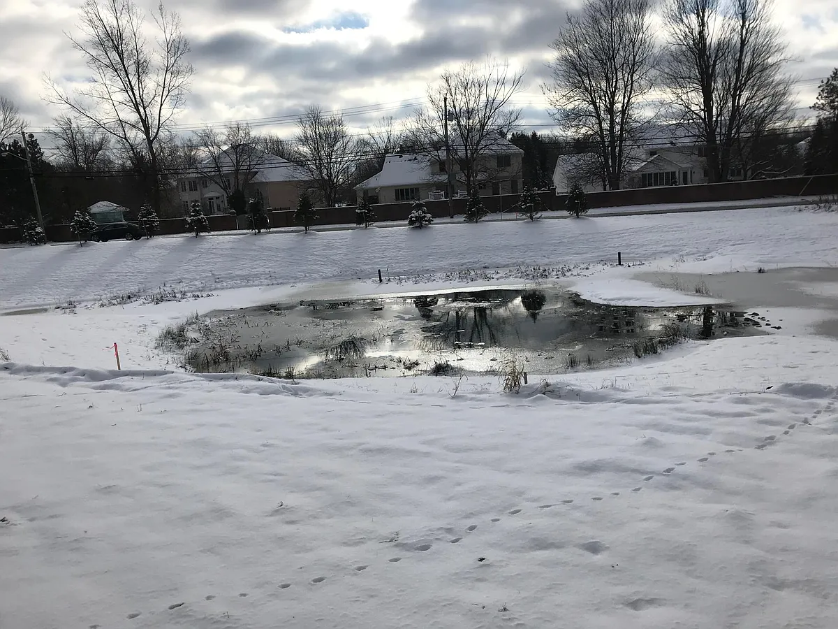 View from the house's back window. - 15 Stonebridge Dr