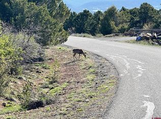 24 Pine Dr, Ridgway, CO 81432