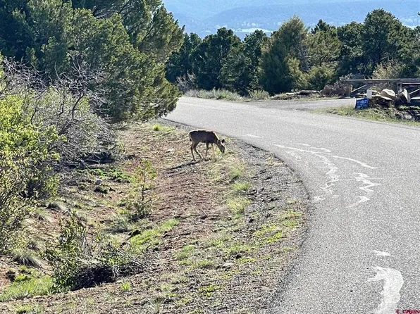 Lot 24 Pine Drive, Ridgway, CO 81432