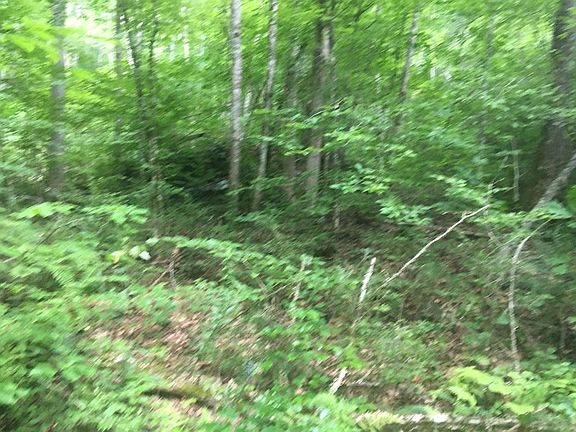 5th image of 240 Mountain Dr