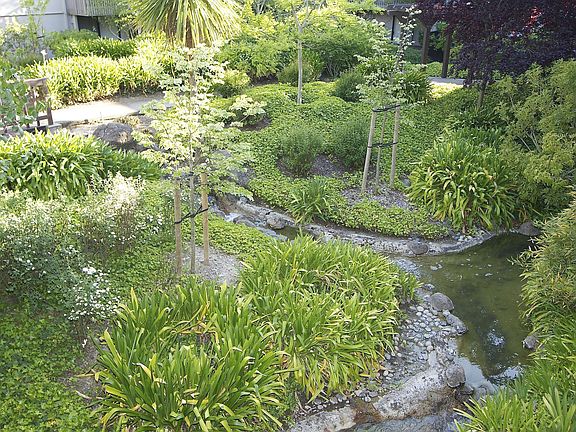 3rd image of 7204 Shelter Creek Ln