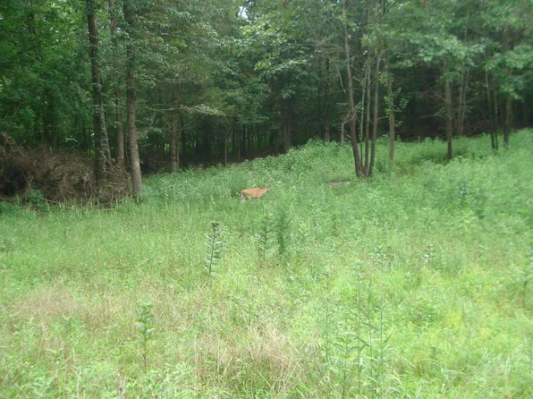 0 Shawnee Dr, Goreville, IL 62939