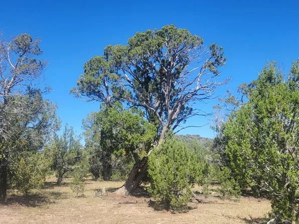 LOT1063 Mystic Way #1063, Williams, AZ 86046