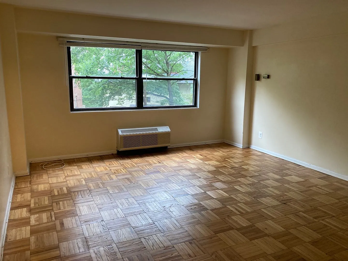 Charming Efficiency at The Saxony Adams Morgan Lanier Heights — Photo 2