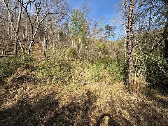 4th image of 1083 Left Fork Toler Crk