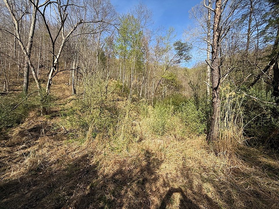 4th image of 1083 Left Fork Toler Crk