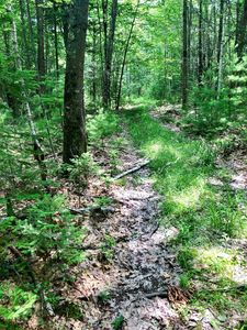 LOT Carriage Rd, Freeport, ME, 04032