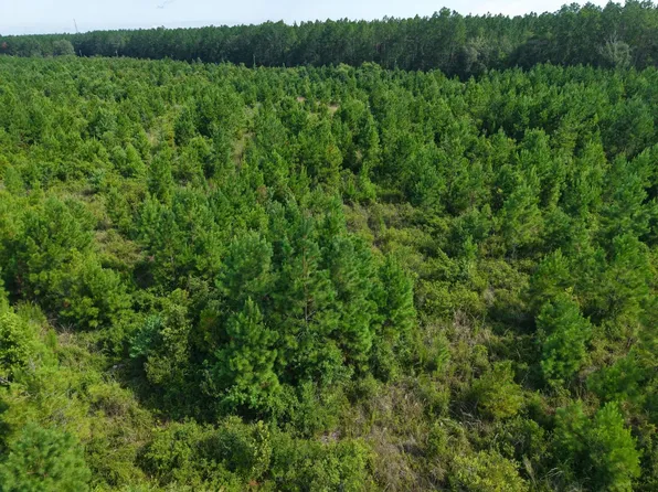 LOT 6 Oscar Rd, White Oak, GA 31568