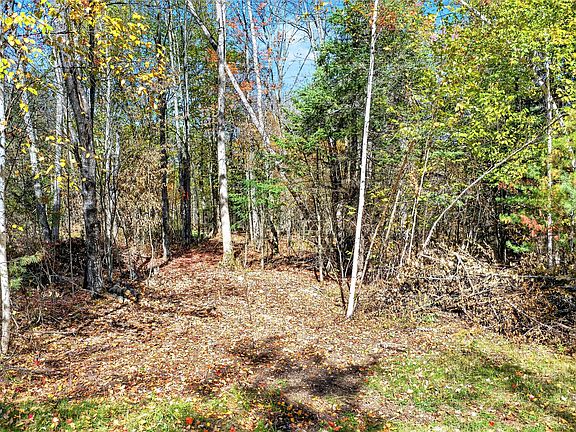 4th image of 5864 W Otter Lane