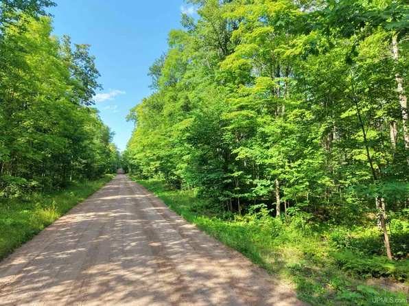 S Laird Rd, Pelkie, MI 49958