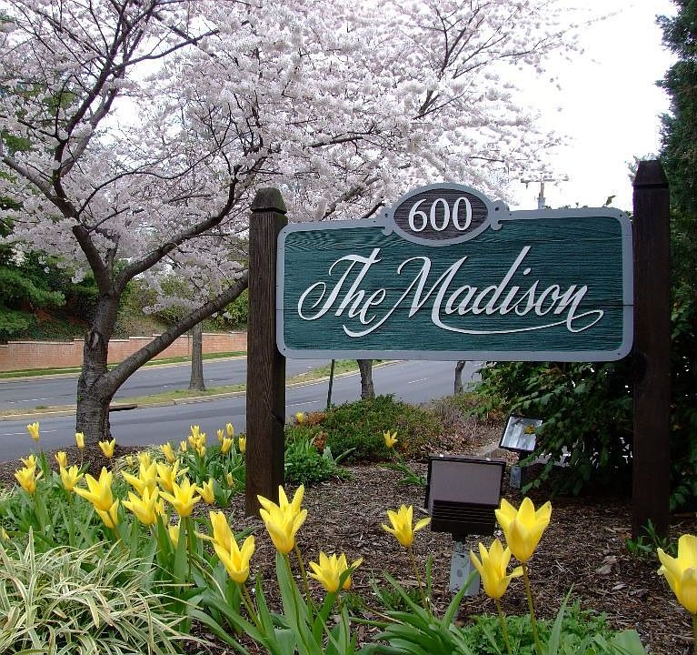 The Madison