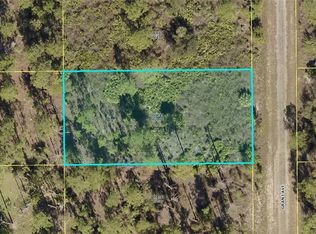 1219 Grant Ave, Lehigh Acres, FL 33972