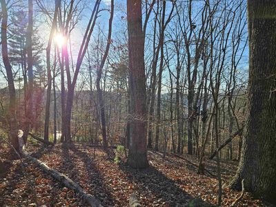 Tbd Clark Rd, Hiwassee, VA, 24347